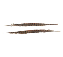 Pheasant tail 35cm 10pc Natural