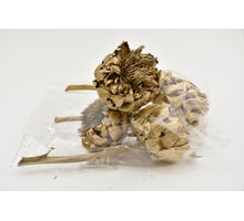 ARTICHOKE 4 PCS GOLD WASHED