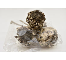 ARTICHOKE 4 PCS PLATINE WASHED
