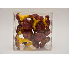 Paddestoelen rood - 12 stuks - 7cm