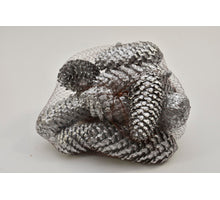 FISCHTEN CONES 
12 PCS/NET SILVER