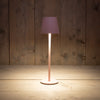 PORTABLE TAFELLAMP 11X36.5CM MAT ROZE LED WARM WIT DIMBAAR - 2000MAH LI-ON -  USB KABEL INCL.