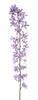 Deutzia spray lavender 100cm