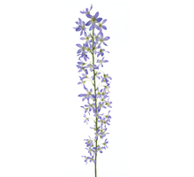 Deutzia spray purple 100cm