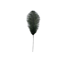 Ostrich feathers 35cm on wire green 63cm