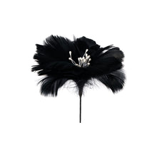 Feather flower on stem black 60cm