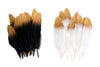 Feathers 20cm white/gold and black/gold assorted 10 pieces in a bag
