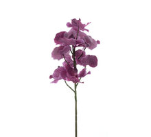 Cymbidium spray beauty pink 76cm