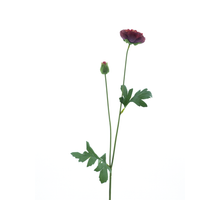 New ranunculus spray Flaine red 55cm