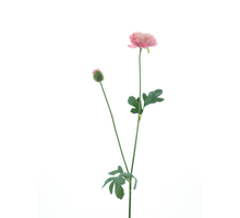 New ranunculus spray Flaine pink 55cm