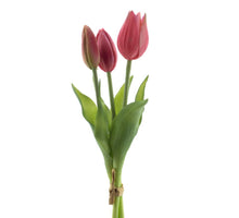 Real Touch Holland Tulip bundle Sally x3 beauty 25cm