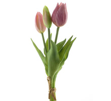 Real Touch Holland Tulip bundle Sally x3 pink 25cm