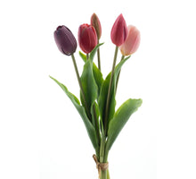 Real Touch Holland Tulip bundle Sally X5 purple/beauty combo 36cm