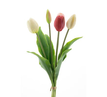 Real Touch Holland Tulip bundle Sally X5 pink/cream combo 36cm