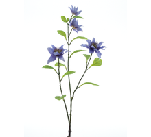 Jewel clematis spray lavender 75cm