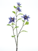 Jewel clematis spray lavender 75cm