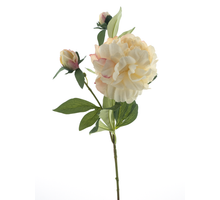 Paeony spray Sango cream 66cm