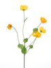 Melastoma spray yellow 76cm