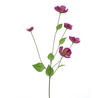 Melastoma spray beauty 76cm