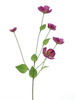 Melastoma spray beauty 76cm