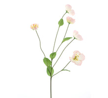 Melastoma spray pink 76cm