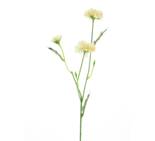 Dendranthema spray cream 58cm