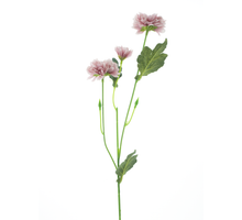Dendranthema spray mauve 58cm