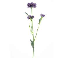 Dendranthema spray purple 58cm
