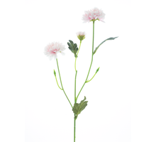 Dendranthema spray pink 58cm