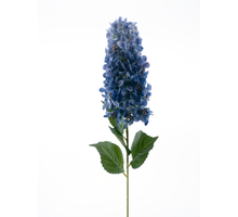 Seringa spray Luca blue 83cm