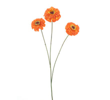Zinnia elegans spray orange 60cm