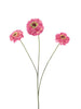 Zinnia elegans spray old pink 60cm