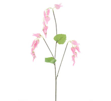Dicentra spray pink 96cm
