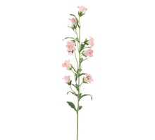Campanula spray pink 88cm