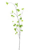 Ekianthus leaf branche green 116cm