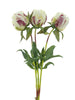 Paeony Marlie bundle a 3 pcs cream 48cm