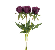 Paeony Marlie bundle a 3 pcs aubergine 48cm