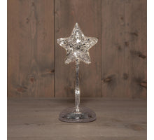 STER OP STAM GLAS LED OP BATTERIJ MET TIMER H23.5CM ZILVER