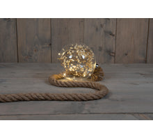 B.O. BAL GLAS MET DROOGBLOEM WIT 15CM AAN 1M TOUW / 10LED WA