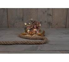 B.O. BAL GLAS MET DROOGBLOEM ROZE 15CM AAN 1M TOUW / 10LED / 2XAA