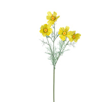 Cosmos l78cm geel