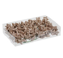 PET 18x6 glitterstars/wire champagne 40 mm