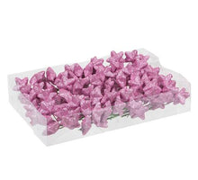 PET 18x6 glitterstars/wire rose blush 40 mm