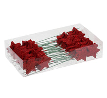 PET 48 glitter stars/wire red 5 cm