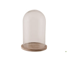 Stolp glas met houten bodem Ø17x25cm Transparant