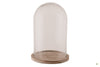 Glass dome with wooden base Ø17x25cm Transparent