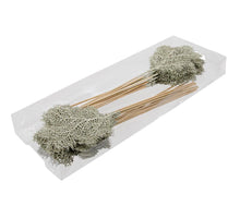 PET 24 glitter deco/stick star dust 14 cm