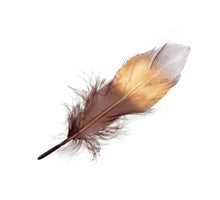 cb. 16 goose feathers brown gold/silver 14-16cm