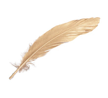 cb. 12 goose feathers gold 16-18cm