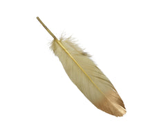 pb. 24 feathers/loose green 18-20 cm